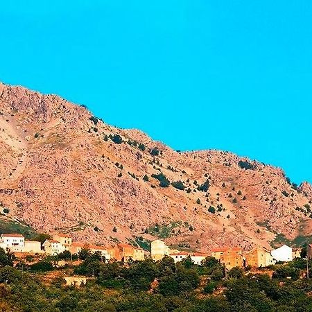 Auberge Casa Mathea Poggio-di-Venaco Eksteriør billede